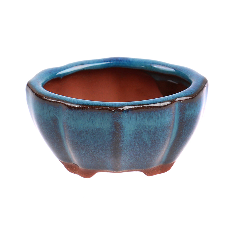 Mini Pot de fleurs bonsaï en c - Echeveria Succulent avis et prix