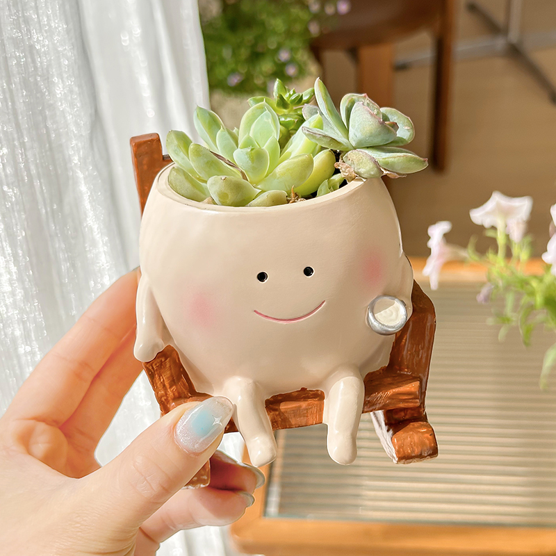 Pot de fleurs en résine fantai - Echeveria Succulent avis et prix