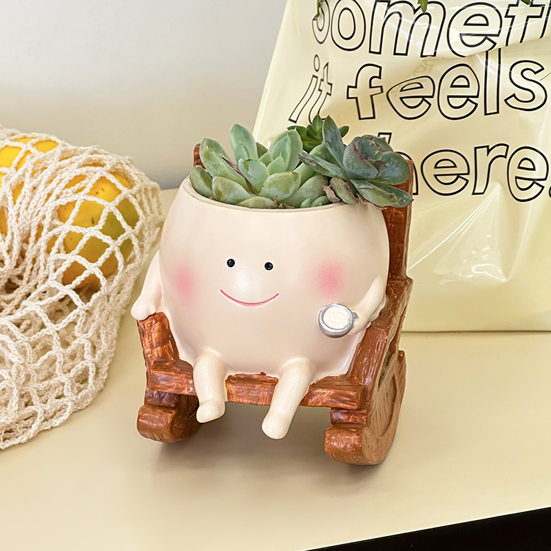 Pot de fleurs en résine fantai - Echeveria Succulent avis et prix