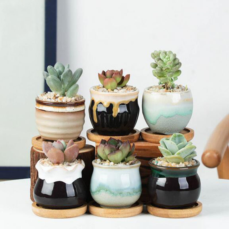 Ensemble de pots de fleurs en  - Echeveria Succulent avis et prix