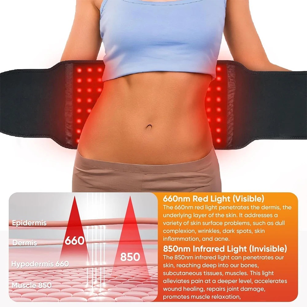 Ceinture LED à lumière rouge 8 - Aglaonema Red avis et prix