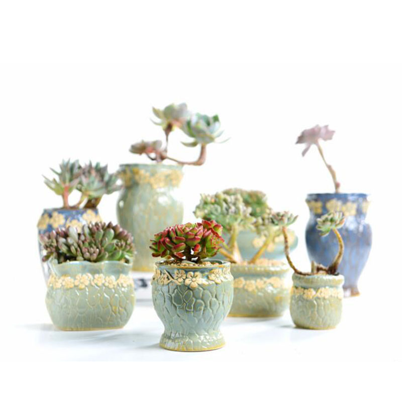 Pot de fleurs de petite et moy - Echeveria Succulent avis et prix