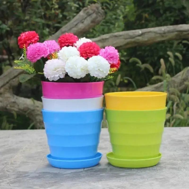 Pot de fleur en plastique, 1 p - Echeveria Succulent avis et prix