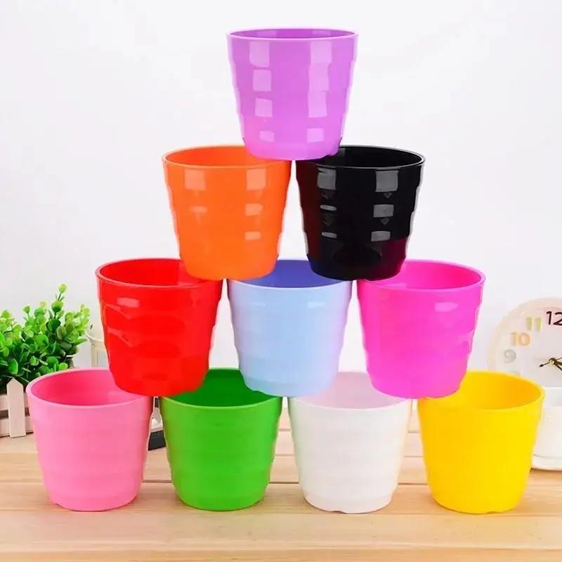 Pot de fleur en plastique, 1 p - Echeveria Succulent avis et prix