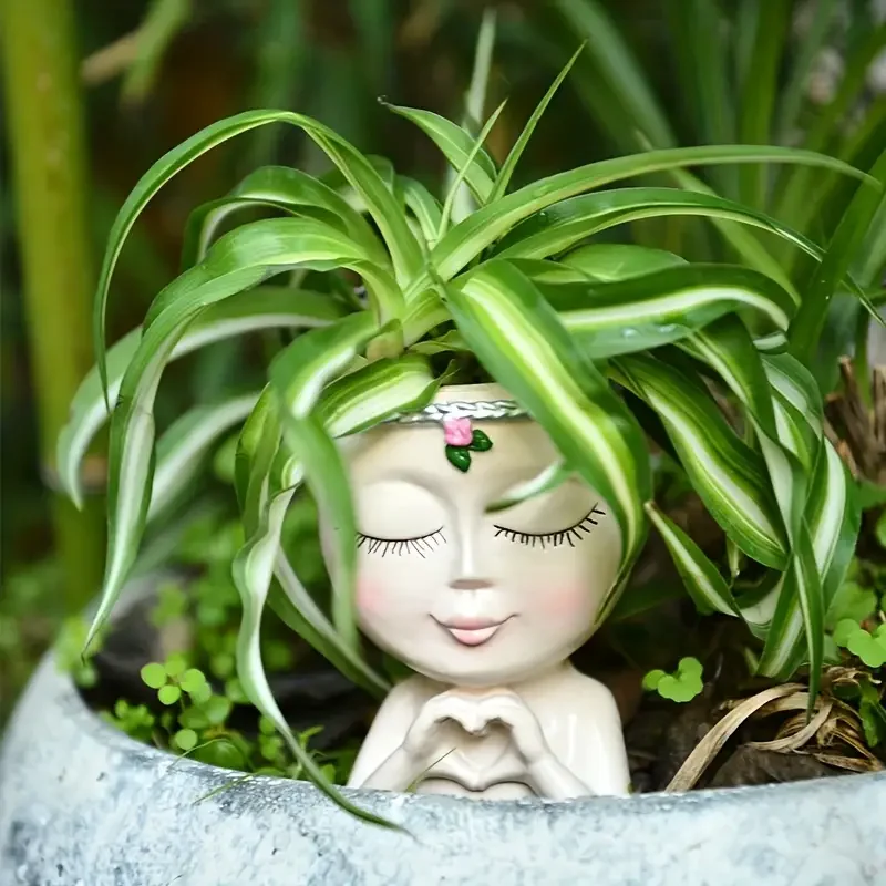 Pot de fleurs en résine en for - Echeveria Succulent avis et prix